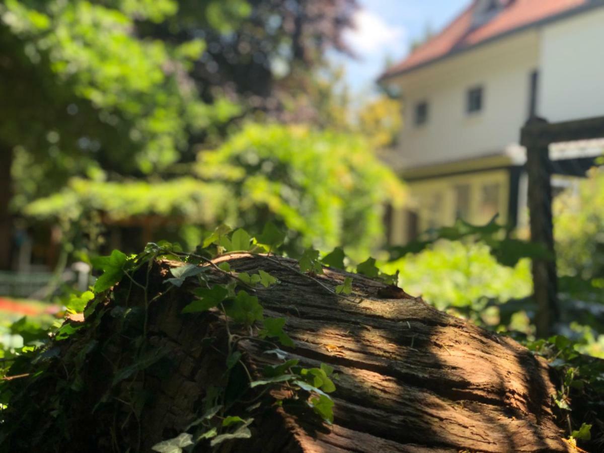 Guesthouse Villa De Eikhof Hengelo  Zewnętrze zdjęcie